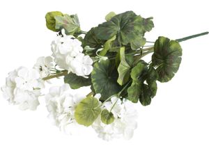5415070704317 - Kunstblume BOTANIC-HAUS Geranie mit 9 Stielen beige (creme weiß) B25cm H47cm T25cm Ø25cm Kunststoff Kunstpflanzen