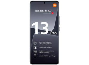 2046006064323 - REFURBISHED – Handy 13 Pro 256GB Generalüberholt 2046006064323 - REFURBISHED – Handy 13 Pro 256GB Generalüberholt