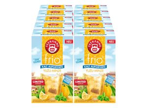 4009300080497 - frio Yuzu-Minze 45g 10er Pack 4009300080497 - frio Yuzu-Minze 45g 10er Pack