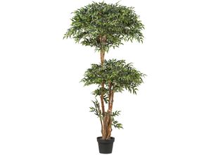 4064118241454 - Kunstpflanze CREATIV GREEN Ruscus grün H170cm Kunststoff Kunstpflanzen in toller Größe 4064118241454 - Kunstpflanze CREATIV GREEN Ruscus grün H170cm Kunststoff Kunstpflanzen in toller Größe