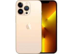 0194252717509 - iPhone 13 Pro 256 GB Gold Ohne Vertrag I 24 M Gratis Garantie 0194252717509 - iPhone 13 Pro 256 GB Gold Ohne Vertrag I 24 M Gratis Garantie