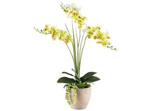 4064118184430 - Kunstpflanze Phalaenopsis