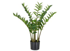 4064118352365 - Kunstpflanze CREATIV GREEN Zamifolia grün H70cm Kunststoff Kunstpflanzen mit detailgetreuer Gestaltung