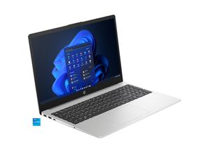 0198122001255 - AKTION 250 G10 9G844ES#ABD Notebook 396 cm (156 Zoll) 16 GB RAM 512 GB SSD Intel® Core™ i5-1334U mit 25 Euro CashBack