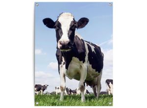 8714597665925 - Poster REINDERS Dutch Cow grün (farbe bild(er) grün) B60cm H80cm T01cm Bilder Garten - Kuh - Wiese - Grün - Leinwand - Tiere - 60x80 cm