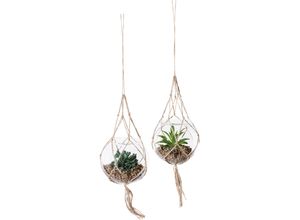 4064118318569 - Kunstpflanze CREATIV GREEN Sukkulenten grün H11cm Ø12cm Kunststoff Kunstpflanzen mit Makramee-Aufhängung