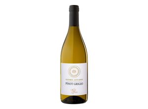 8029127771176 - GRIES Pinot Grigio DOC 135 % vol 075 Liter - Inhalt 6 Flaschen