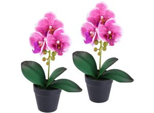 4019844824693 - Kunstorchidee IGEA Orchidee im Topf 2er Set rosa (dunkelrosa) B18cm H30cm L9cm Polyester Kunstpflanzen Künstliche Phalaenopsis 30cm Real Touch Blume Kunstblume Seidenblume