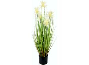 4019844746827 - Kunstgras IGEA Proteagras Kunstpflanzen Gr B H 22 cm x 68 cm 1 St weiß Kunstgras Kunst-Gräser Kunstpflanzen im Kunststofftopf