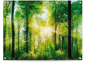 8714597628234 - Poster REINDERS Sommerwald grün (farbe bild(er) grün) B80cm H60cm T01cm Leinwand Bilder