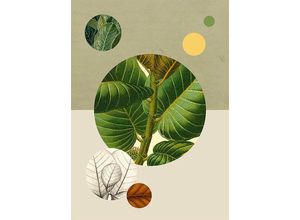 4055065151330 - KOMAR Poster Green Structure Bilder Kinderzimmer Schlafzimmer Wohnzimmer Gr B H 40 cm x 50 cm Pflanzen-Blätter 1 St bunt Poster