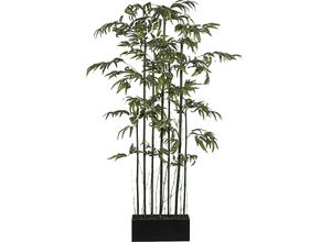 4003529982808 - Bambusraumteiler mit Naturstamm und im Holzkasten Gesamthöhe 1800 mm kaiserkraft