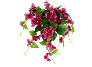 4019844738686 - Kunstpflanze IGEA Bougainvillea Kunstpflanzen Gr B H 40 cm x 60 cm 1 St pink (fuchsia) Kunstpflanze Künstliche Zimmerpflanzen Kunstpflanzen im Kunststofftopf