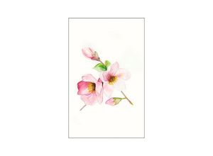 4055065151903 - Bild KOMAR Magnolia Breathe rosa (farbe bild(er) rosa) B40cm H50cm Holz Papier Bilder Wandbild zur Dekoration - ohne Rahmen