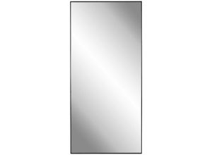 9010985092533 - Wandspiegel  Schwarz  Metall Glas Holzwerkstoff  rechteckig  90x180x25 cm  Reach Bsci  Spiegel Wandspiegel