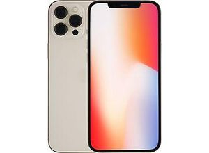0194252024607 - Exzellent iPhone 12 Pro Max | 512 GB | gold