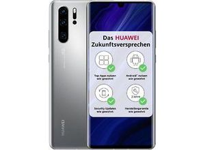 6901443397242 - Exzellent P30 Pro New Edition | 8 GB | 256 GB | silver frost
