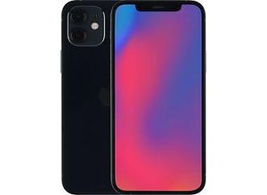0194252033012 - iPhone 12 - Smartphone - Dual-SIM - 5G NR - 256GB - CDMA   GSM - 61 - 2532 x 1170 Pixel (460 ppi (Pixel pro )) - Super Retina XDR Display (12 MP Vorderkamera) - 2 x Rückkamera - Schwarz (MGJG3ZD A)