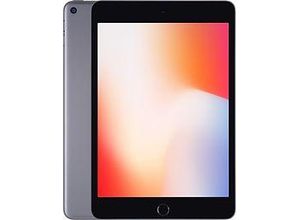 0190199063907 - Exzellent iPad mini 5 (2019) | 79 | 256 GB | spacegrau