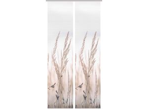4056751415613 - Schiebegardine VISION S RELVA beige (natur) B60cm H260cm Polyester Gardinen DIGITALDRUCK