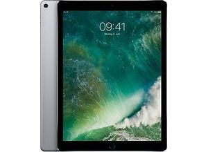 0190198420534 - Exzellent iPad Pro 2 (2017) | 129 | 512 GB | spacegrau