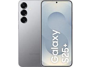 8806095857602 - SM-S936BZSGEUB SAMSUNG Galaxy S25+ Dual-SIM-Smartphone Silver Shadow 512 GB SM-S936BZSGEUB 8806095857602