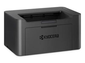 0632983069592 - PA2001w - Drucker - s w - Laser - A4 Legal - 1200 dpi - bis zu 20 Seiten Min - Kapazität 150 Blätter - USB 20 Wi-Fi(n)