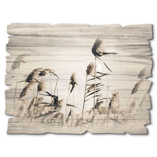 4062144361405 - Holzbild ARTLAND Gräser Bilder Gr B H 40 cm x 30 cm Holzbild Gräser Querformat 1 St beige (natur) Bild Holzbild Holzbilder Bilder