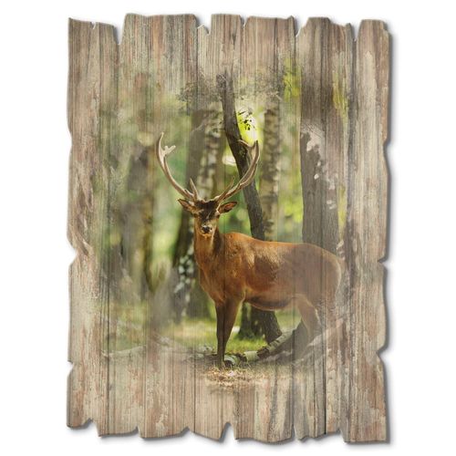 4062144361924 - Holzbild ARTLAND Hirsch 4 - Wald Bilder Gr B H 30 cm x 40 cm Holzbild Wildtiere Hochformat 1 St grün Bild Holzbild Holzbilder Bilder