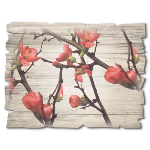4062144361443 - Holzbild ARTLAND Zweige & Holz Bilder Gr B H 40 cm x 30 cm Holzbild Bäume Querformat 1 St weiß Bild Holzbild Holzbilder Bilder 4062144361443 - Holzbild ARTLAND Zweige & Holz Bilder Gr B H 40 cm x 30 cm Holzbild Bäume Querformat 1 St weiß Bild Holzbild Holzbilder Bilder