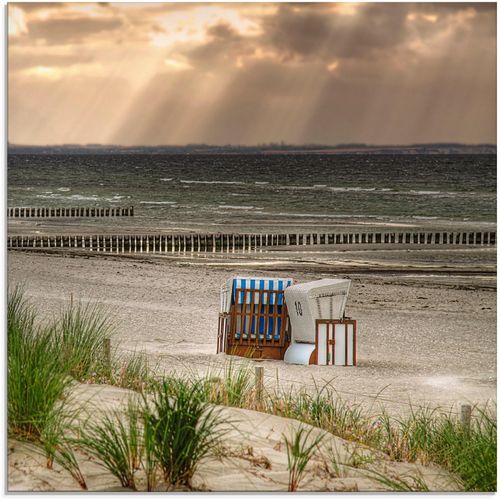 4062144102312 - Glasbild ARTLAND Schwarzer Busch Strand auf Insel Poel Bilder Gr B H 40 cm x 40 cm Strand 1 St beige (naturfarben) Glasbilder Bilder