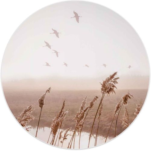 8714597611410 - Wandbild REINDERS Wandbild Fliegende Gänse Sommer - Himmel Pampasgras Horizont Bilder Gr B H 50 cm x 50 cm Vögel 1 St grün (khaki) Kunstdrucke 8714597611410 - Wandbild REINDERS Wandbild Fliegende Gänse Sommer - Himmel Pampasgras Horizont Bilder Gr B H 50 cm x 50 cm Vögel 1 St grün (khaki) Kunstdrucke