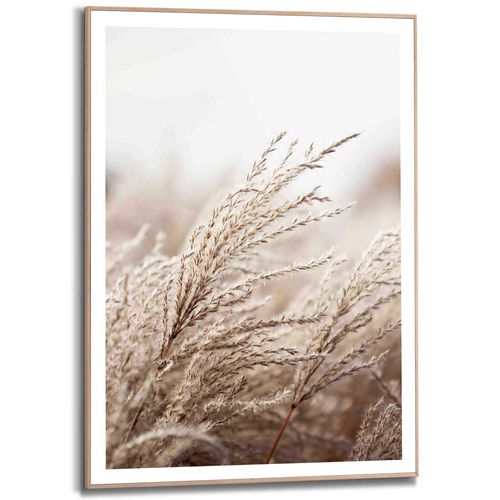 8714597615159 - Kunstdruck REINDERS Gras Bilder Gr B H T 50 cm x 70 cm x 16 cm beige Kunstdrucke 8714597615159 - Kunstdruck REINDERS Gras Bilder Gr B H T 50 cm x 70 cm x 16 cm beige Kunstdrucke