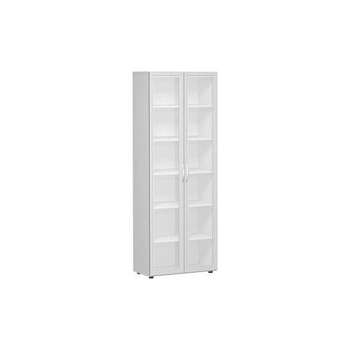 4038933078120 - Aktenschrank Flex S-386821-GTL lichtgrau Acrylglas satiniert 5 Fachböden 800 x 420 x 2160 cm