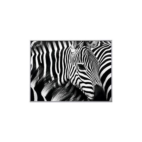 3660141890839 - Wandbild Zebra 1CCF60X803506C