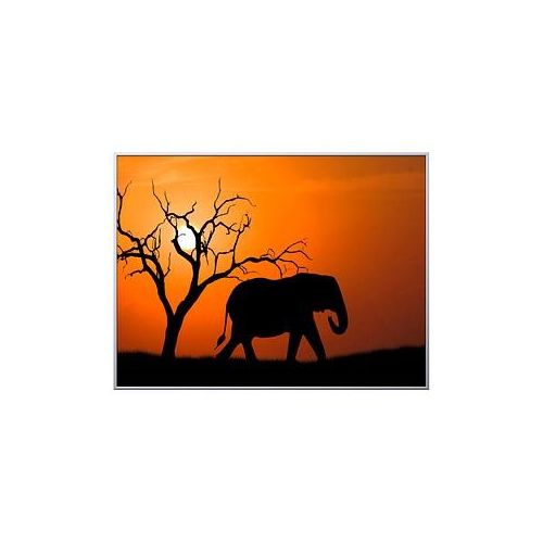 3660141890846 - Wandbild Elefant 1CCF60X803507C