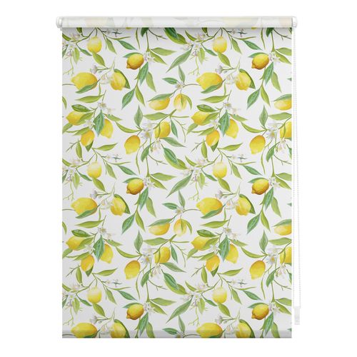 4250434139104 - Seitenzugrollo ORIGINAL Rollo Klemmfix ohne Bohren Verdunkelung Limone - Gelb Grün Rollos Gr 150 cm stufenlos positionierbar 45 cm gelb (gelb grün weiß) Verdunkelungsrollos 4250434139104 - Seitenzugrollo ORIGINAL Rollo Klemmfix ohne Bohren Verdunkelung Limone - Gelb Grün Rollos Gr 150 cm stufenlos positionierbar 45 cm gelb (gelb grün weiß) Verdunkelungsrollos
