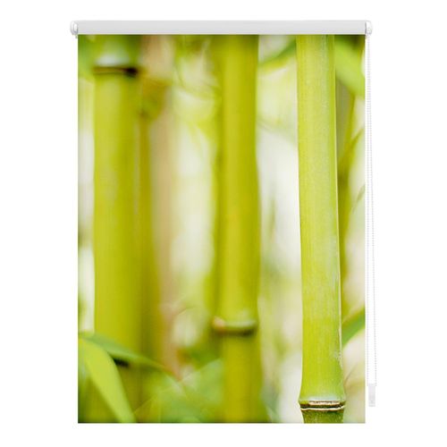 4251369834744 - Seitenzugrollo ORIGINAL Rollo Klemmfix ohne Bohren Verdunkelung Bambus - Grün Rollos Gr 90 cm stufenlos positionierbar 150 cm grün (grün weiß) Kinder Kinderzimmer-Rollos