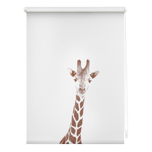 4250434132914 - Lichtblick Rollo Klemmfix ohne Bohren Verdunkelung Giraffe - Braun 4250434132914 - Lichtblick Rollo Klemmfix ohne Bohren Verdunkelung Giraffe - Braun