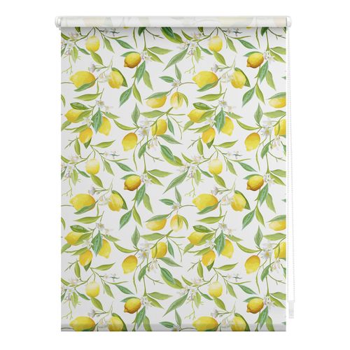 4250434138183 - Seitenzugrollo ORIGINAL Rollo Klemmfix ohne Bohren blickdicht Limone - Gelb Grün Rollos Gr 150 cm stufenlos positionierbar 120 cm gelb (gelb grün weiß) Kinder Kinderzimmer-Rollos 4250434138183 - Seitenzugrollo ORIGINAL Rollo Klemmfix ohne Bohren blickdicht Limone - Gelb Grün Rollos Gr 150 cm stufenlos positionierbar 120 cm gelb (gelb grün weiß) Kinder Kinderzimmer-Rollos