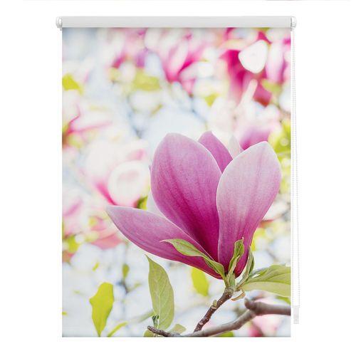 4251369834843 - Seitenzugrollo ORIGINAL Rollo Klemmfix ohne Bohren Verdunkelung Magnolie - Rosa Rollos Gr 90 cm stufenlos positionierbar 150 cm rosa (rosa weiß) Kinder Kinderzimmer-Rollos 4251369834843 - Seitenzugrollo ORIGINAL Rollo Klemmfix ohne Bohren Verdunkelung Magnolie - Rosa Rollos Gr 90 cm stufenlos positionierbar 150 cm rosa (rosa weiß) Kinder Kinderzimmer-Rollos