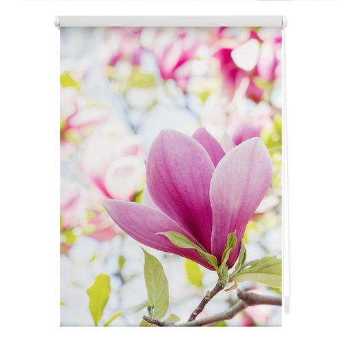 4251369836120 - Seitenzugrollo ORIGINAL Rollo Klemmfix ohne Bohren Verdunkelung Magnolie - Rosa Rollos Gr 120 cm stufenlos positionierbar 150 cm rosa (rosa weiß) Verdunkelungsrollos 4251369836120 - Seitenzugrollo ORIGINAL Rollo Klemmfix ohne Bohren Verdunkelung Magnolie - Rosa Rollos Gr 120 cm stufenlos positionierbar 150 cm rosa (rosa weiß) Verdunkelungsrollos