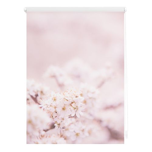 4251369834577 - Seitenzugrollo ORIGINAL Rollo Klemmfix ohne Bohren Verdunkelung Kirschblüten - Rosa Weiß Rollos Gr 90 cm stufenlos positionierbar 150 cm rosa (rosa weiß weiß) Kinder Kinderzimmer-Rollos 4251369834577 - Seitenzugrollo ORIGINAL Rollo Klemmfix ohne Bohren Verdunkelung Kirschblüten - Rosa Weiß Rollos Gr 90 cm stufenlos positionierbar 150 cm rosa (rosa weiß weiß) Kinder Kinderzimmer-Rollos