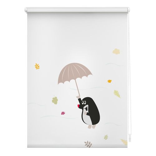 4250434132853 - Lichtblick Rollo Klemmfix ohne Bohren Verdunkelung Maulwurf - Bunt