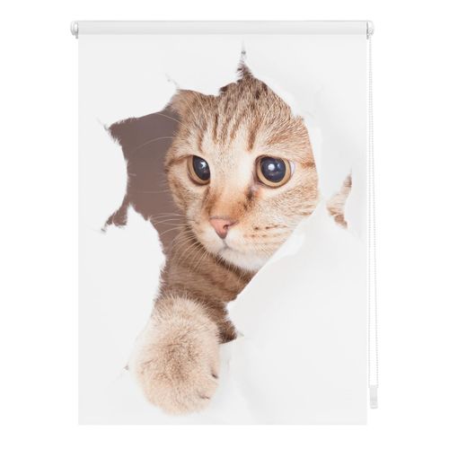 4250434125152 - Lichtblick Rollo Klemmfix ohne Bohren Verdunkelung Katze - Weiß Braun