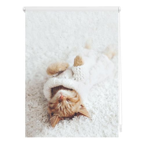 4250434125107 - Seitenzugrollo ORIGINAL Klemmfix Digital Sleepy Cat Rollos Gr 150 cm 120 cm weiß (weiß weiß) Verdunkelungsrollos Rollo bedruckt 4250434125107 - Seitenzugrollo ORIGINAL Klemmfix Digital Sleepy Cat Rollos Gr 150 cm 120 cm weiß (weiß weiß) Verdunkelungsrollos Rollo bedruckt