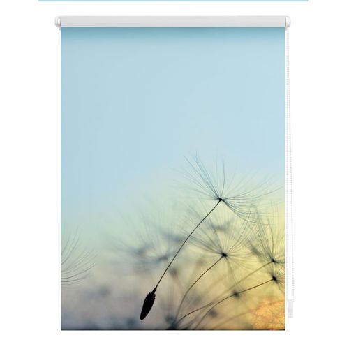 4250434120218 - Lichtblick Rollo Klemmfix ohne Bohren blickdicht Pusteblume - Blau