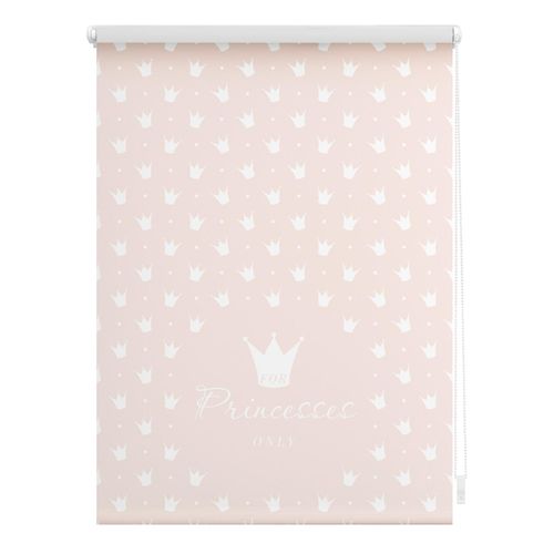 4250434119014 - Lichtblick Rollo Klemmfix ohne Bohren blickdicht Prinzessin Lilly - Rosa