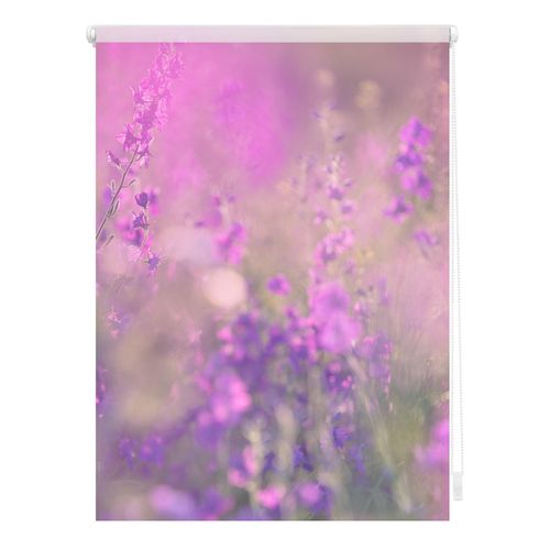 4250434115580 - Lichtblick Rollo Klemmfix ohne Bohren blickdicht Blumenwiese - Fuchsia Violett