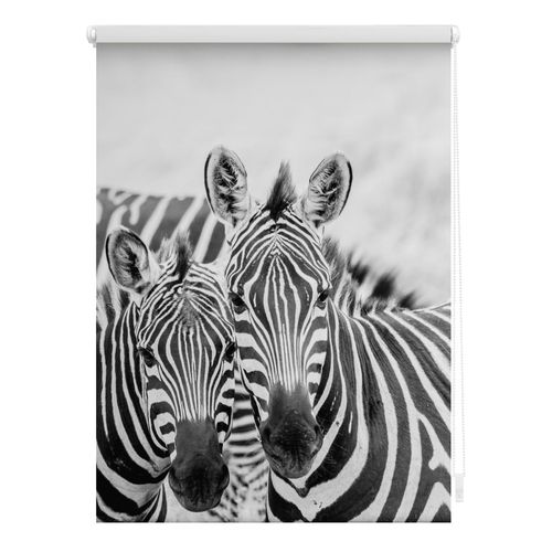 4250434121406 - Lichtblick Rollo Klemmfix ohne Bohren blickdicht Zebra - Schwarz Weiß 4250434121406 - Lichtblick Rollo Klemmfix ohne Bohren blickdicht Zebra - Schwarz Weiß